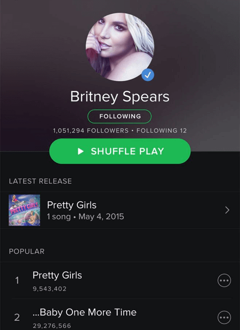 右侧功能展示区域装饰元素